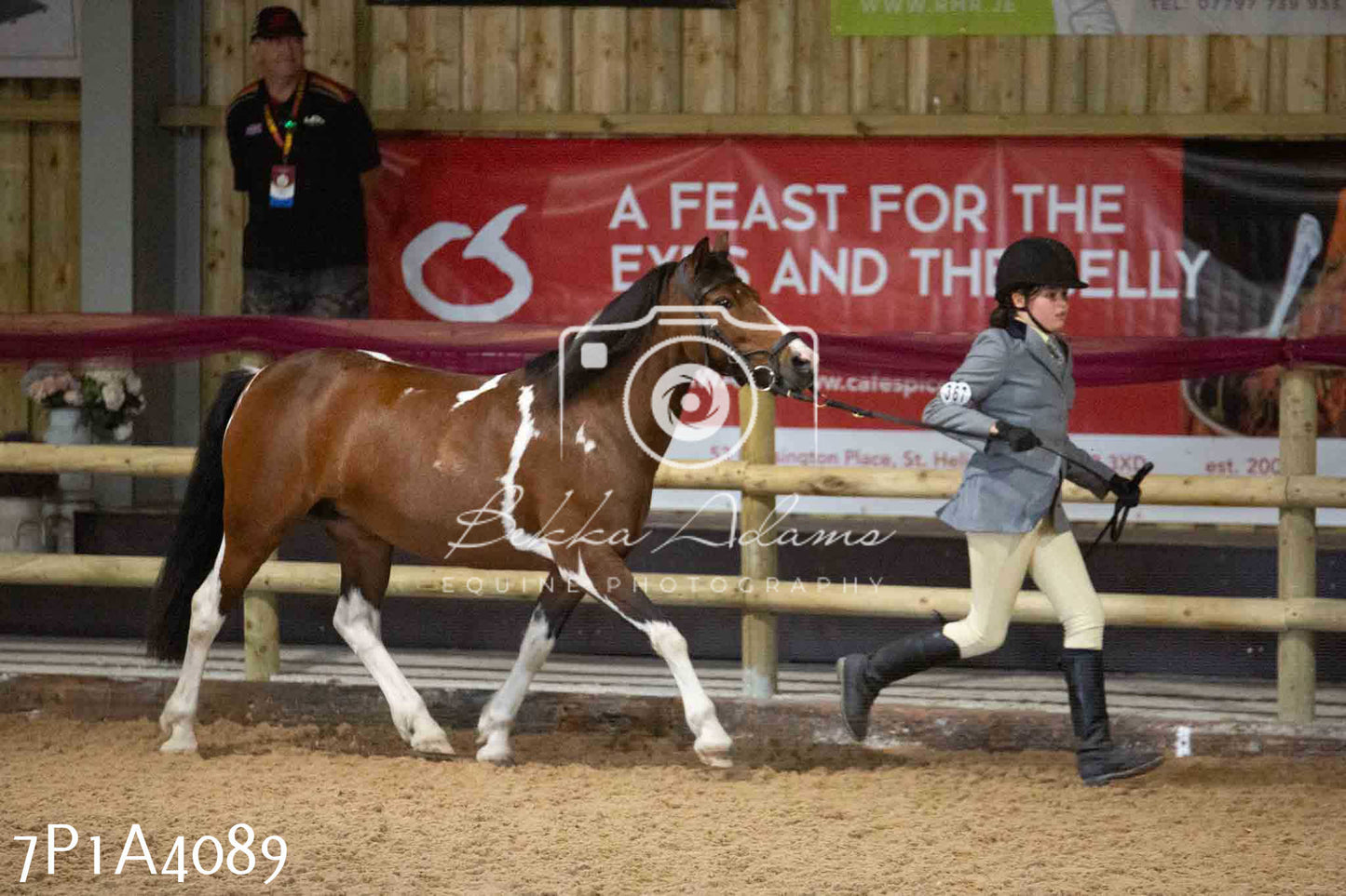 JHOYS 2023 - 9th September - Inhand Showing Pt 1