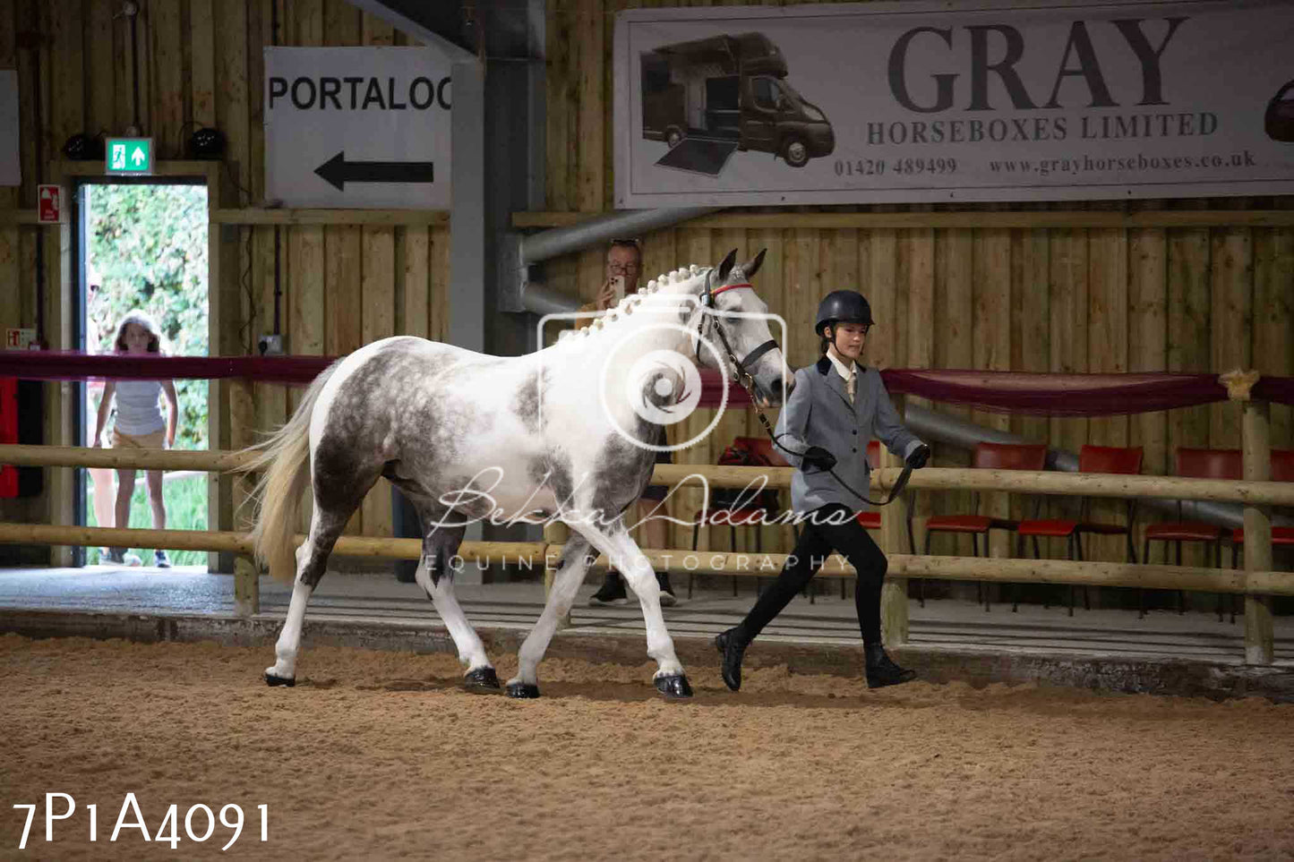 JHOYS 2023 - 9th September - Inhand Showing Pt 1