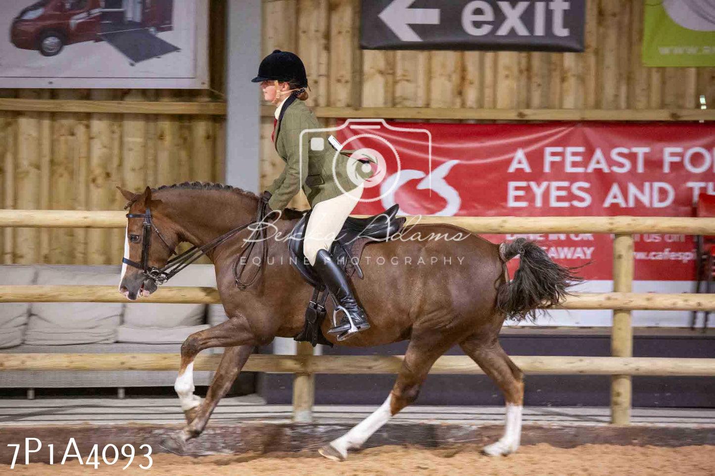 Home Farm Funshine Show 2024 - Ridden Showing 15th September pt2