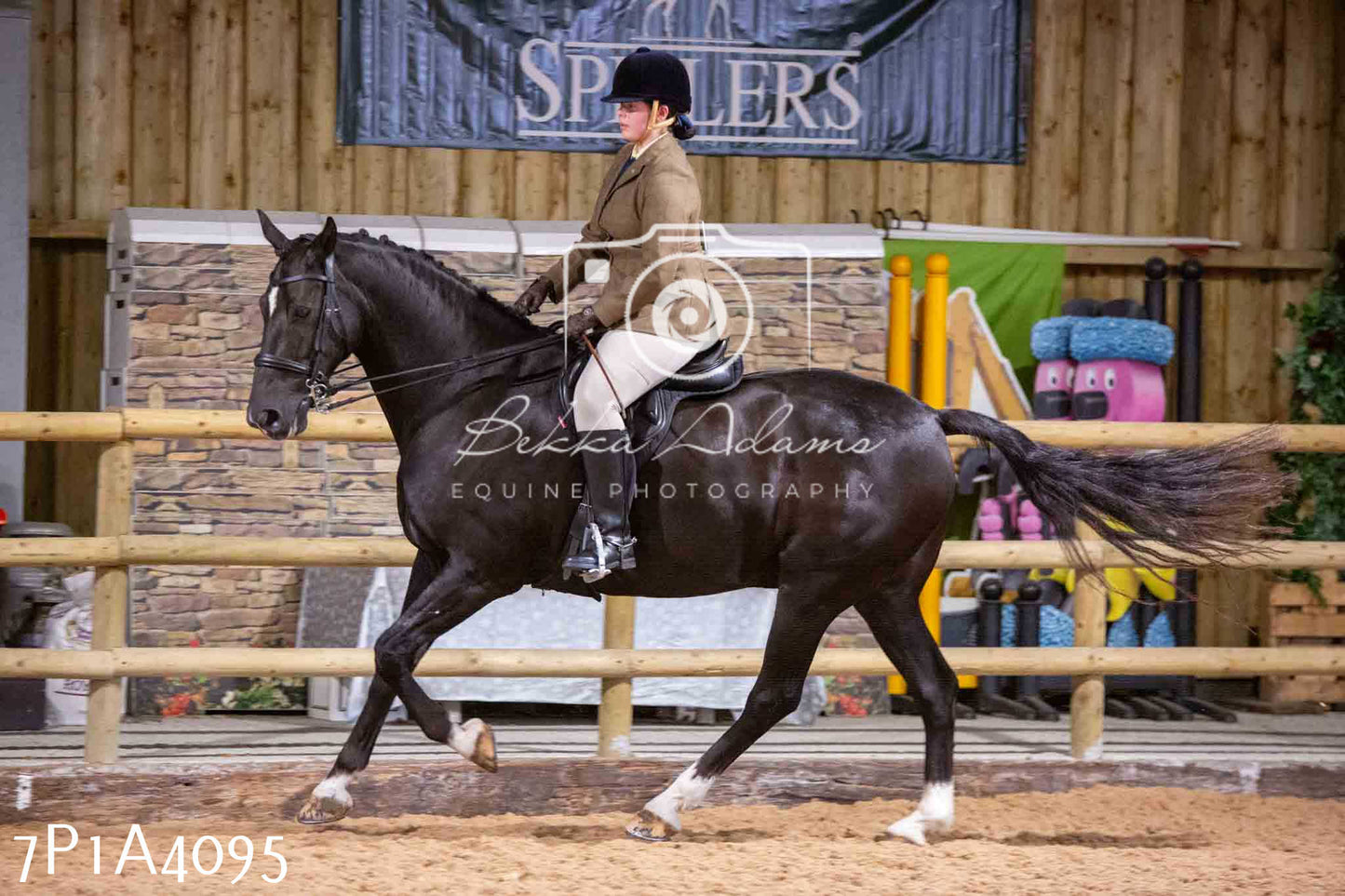 Home Farm Funshine Show 2024 - Ridden Showing 15th September pt2