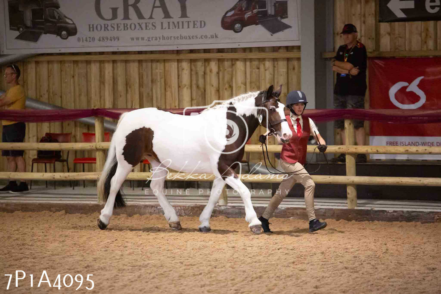 JHOYS 2023 - 9th September - Inhand Showing Pt 1