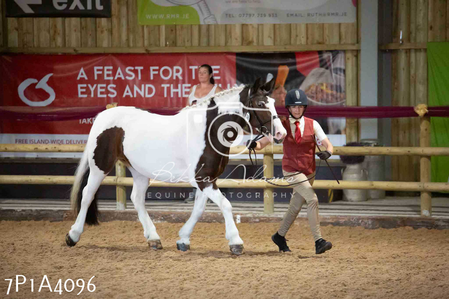 JHOYS 2023 - 9th September - Inhand Showing Pt 1