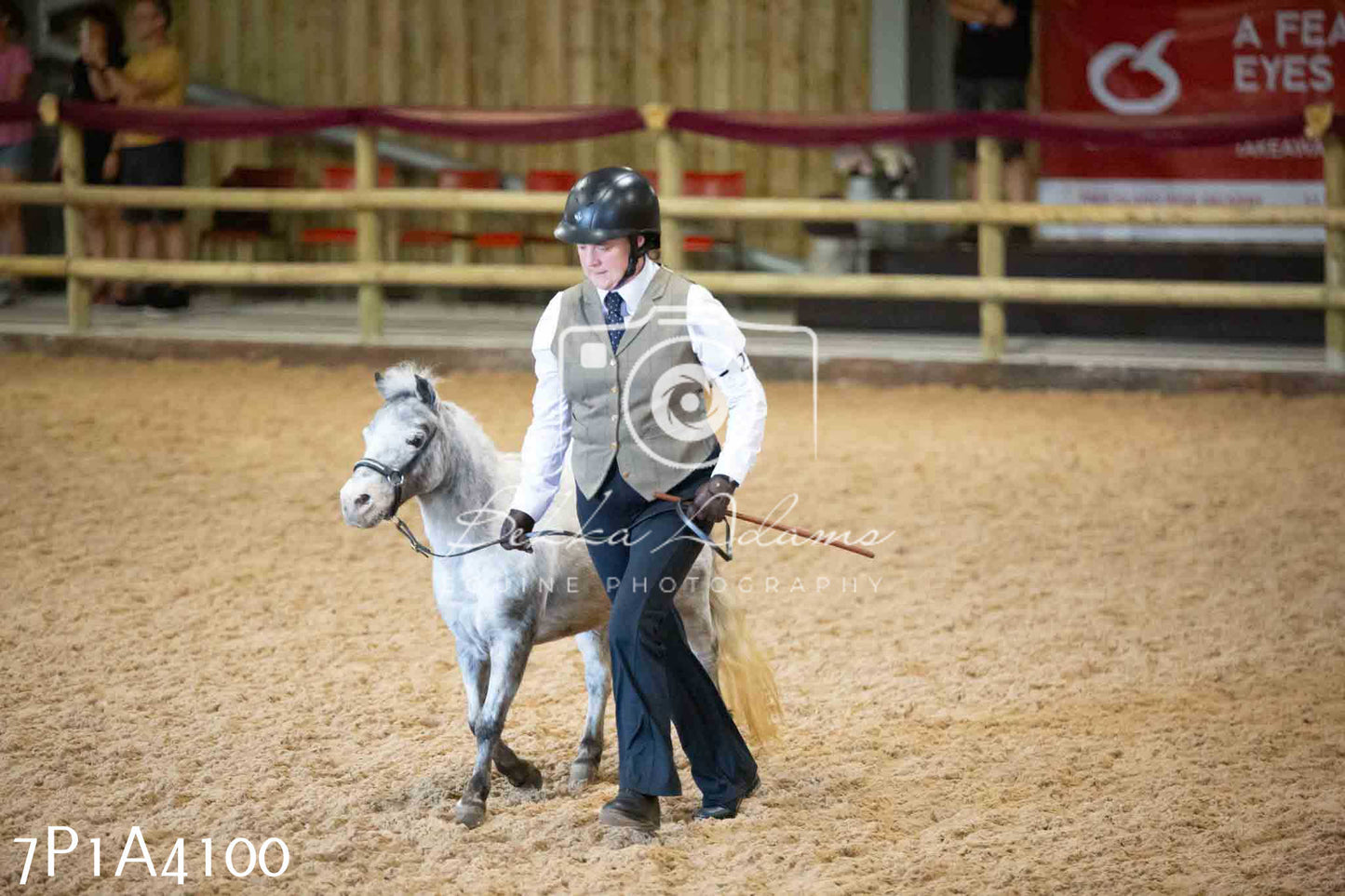 JHOYS 2023 - 9th September - Inhand Showing Pt 1