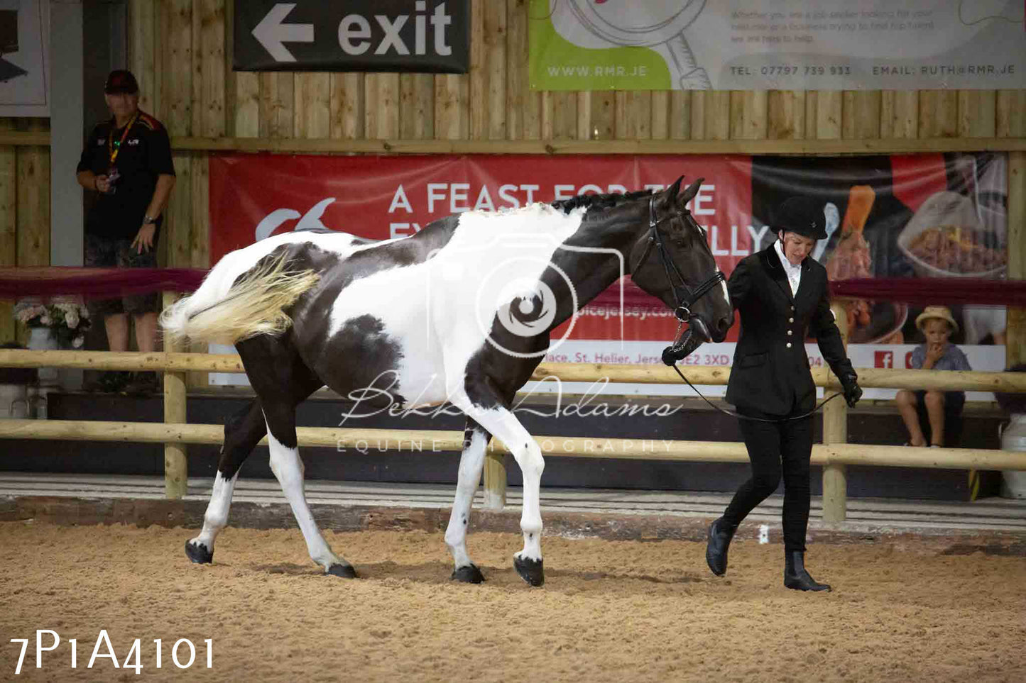 JHOYS 2023 - 9th September - Inhand Showing Pt 1
