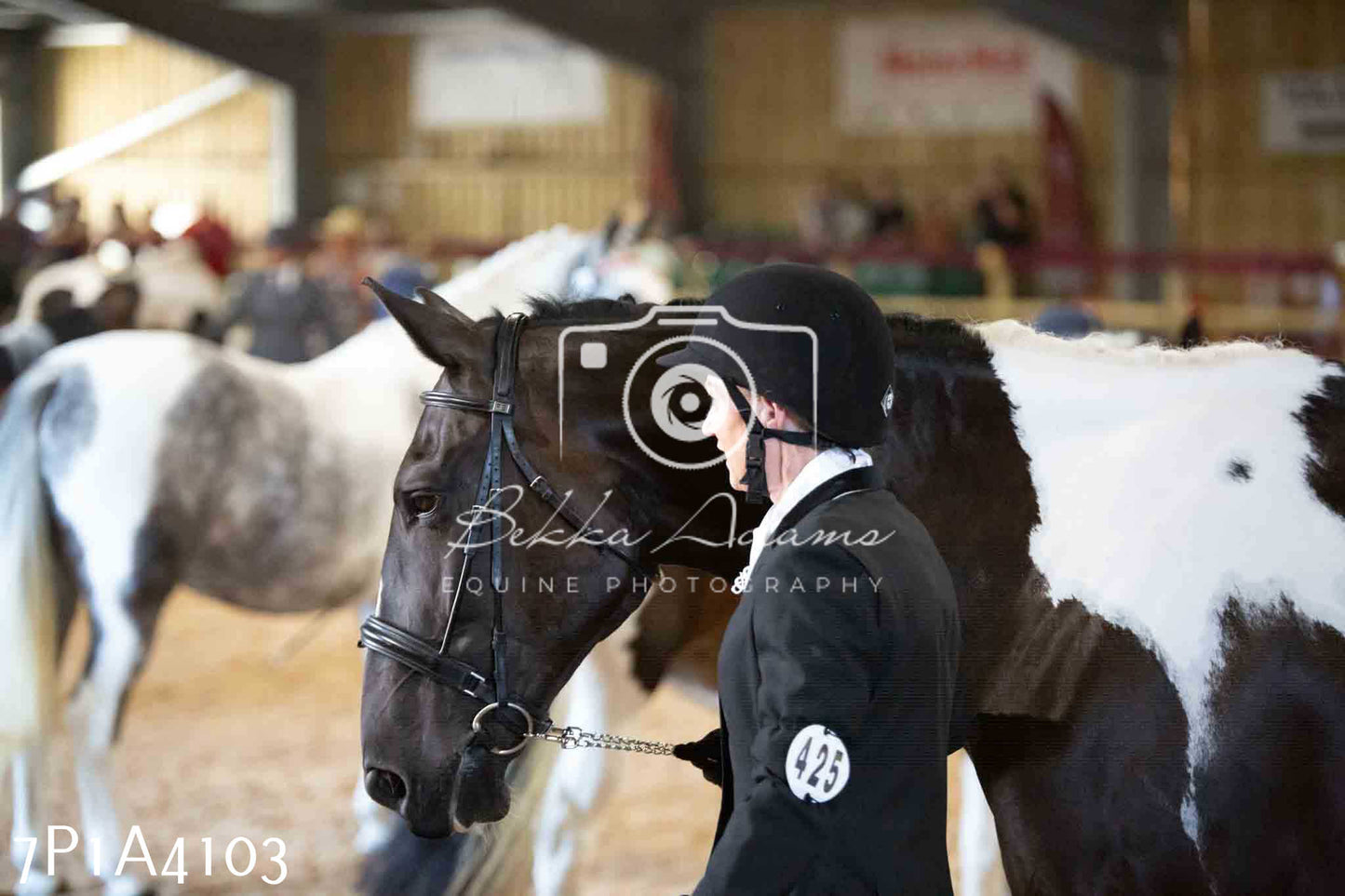 JHOYS 2023 - 9th September - Inhand Showing Pt 1