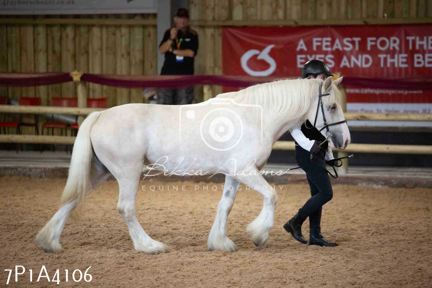 JHOYS 2023 - 9th September - Inhand Showing Pt 1