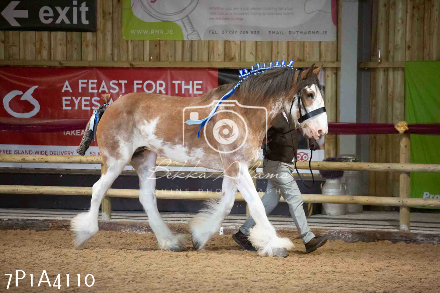 JHOYS 2023 - 9th September - Inhand Showing Pt 1
