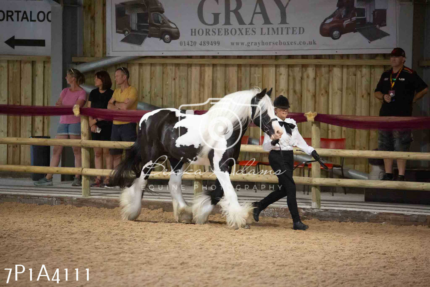 JHOYS 2023 - 9th September - Inhand Showing Pt 1
