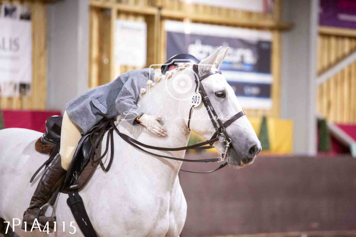 Home Farm Funshine Show 2024 - Ridden Showing 15th September pt2