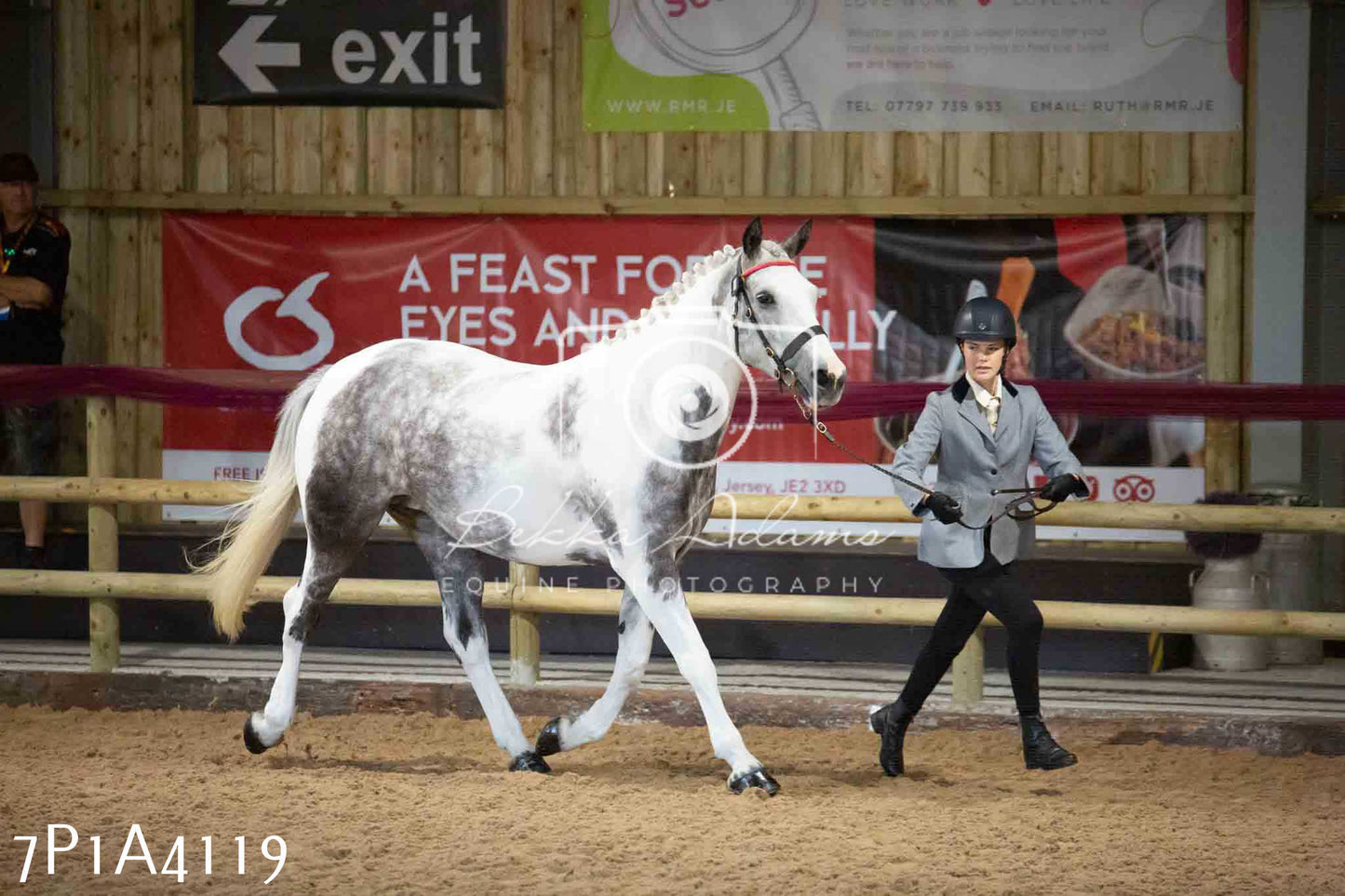JHOYS 2023 - 9th September - Inhand Showing Pt 1