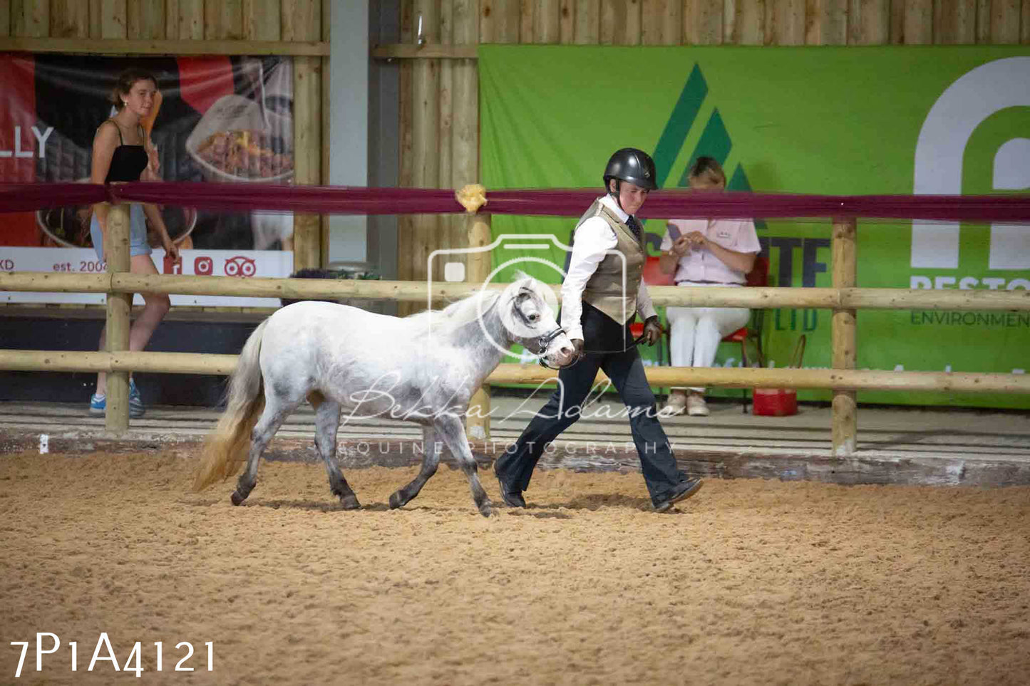 JHOYS 2023 - 9th September - Inhand Showing Pt 1