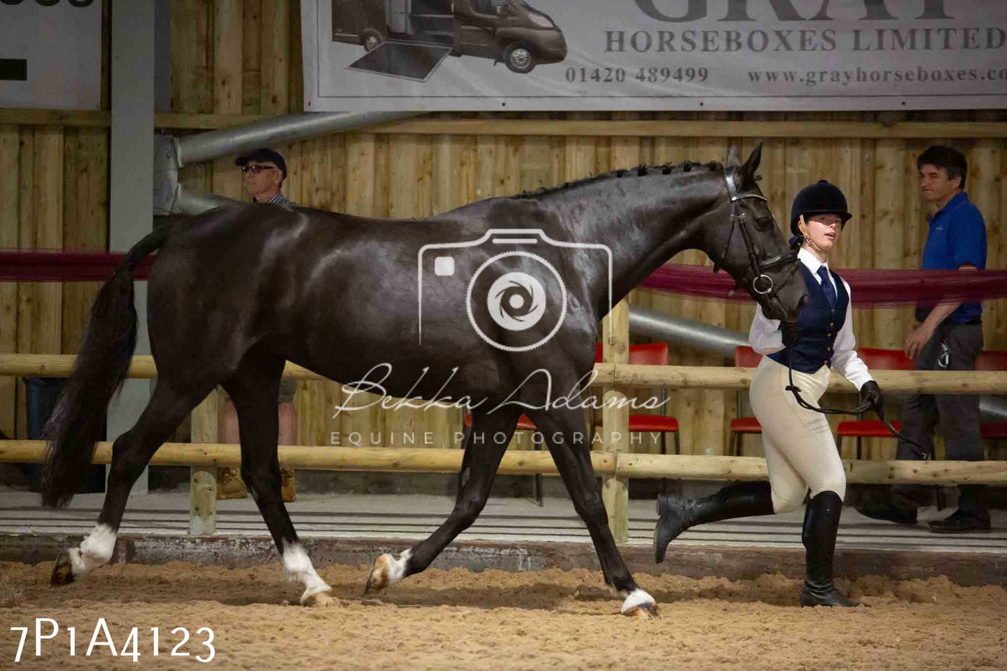 JHOYS 2023 - 9th September - Inhand Showing Pt 1