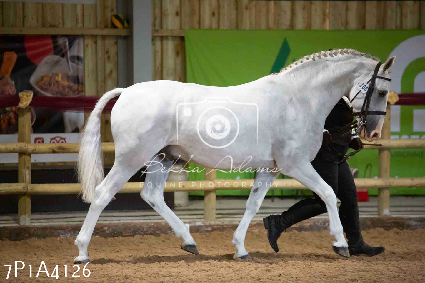 JHOYS 2023 - 9th September - Inhand Showing Pt 1
