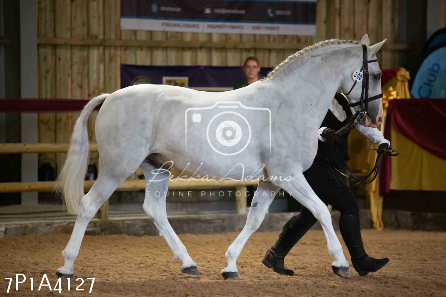JHOYS 2023 - 9th September - Inhand Showing Pt 1