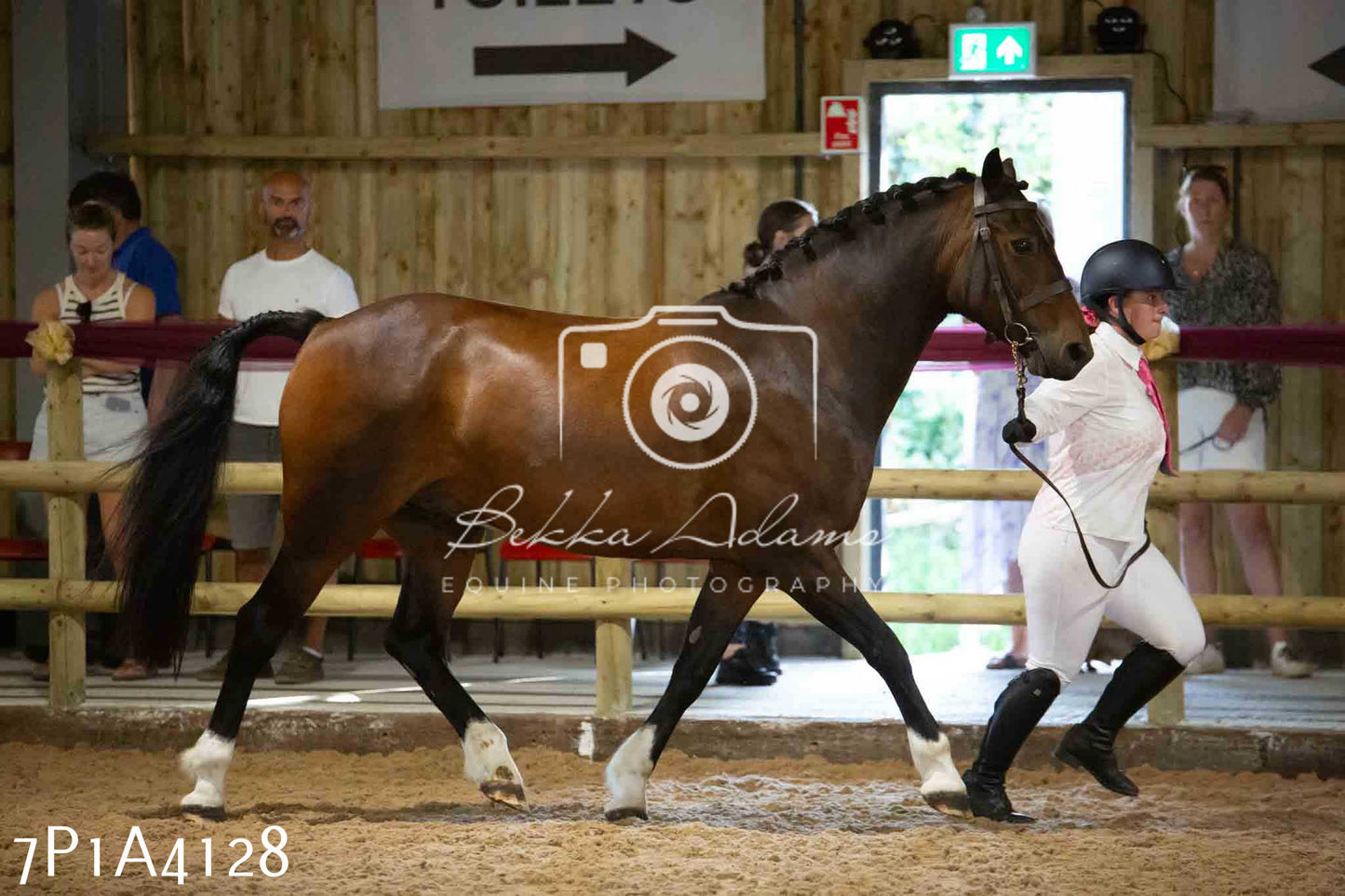 JHOYS 2023 - 9th September - Inhand Showing Pt 1