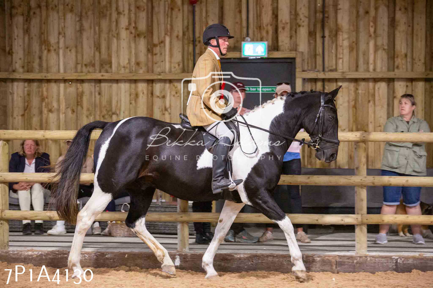 Home Farm Funshine Show 2024 - Ridden Showing 15th September pt2