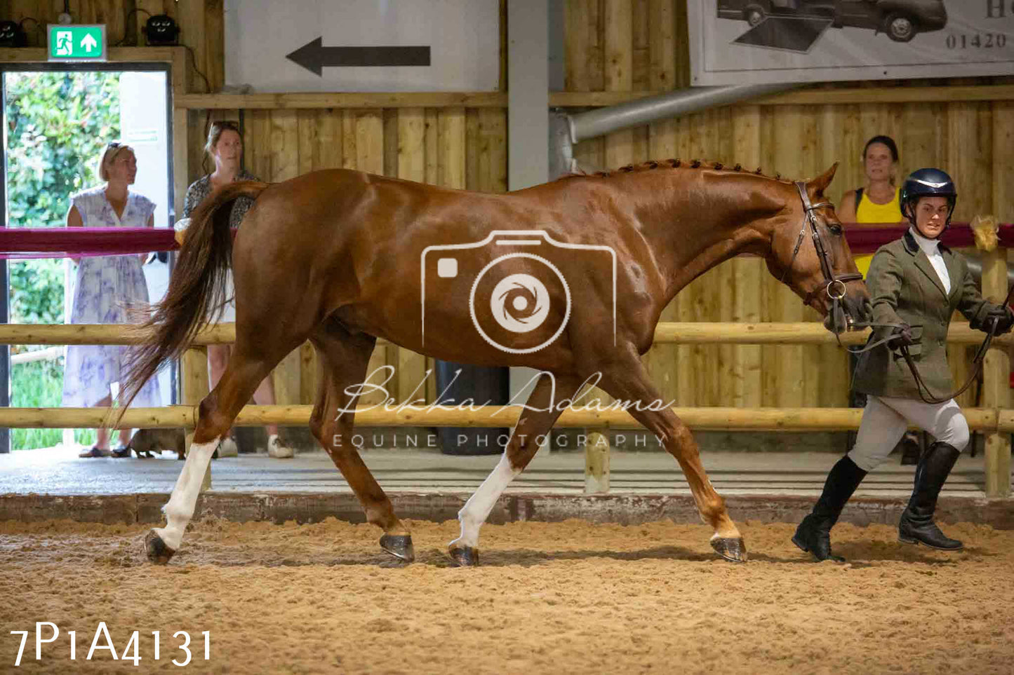 JHOYS 2023 - 9th September - Inhand Showing Pt 1