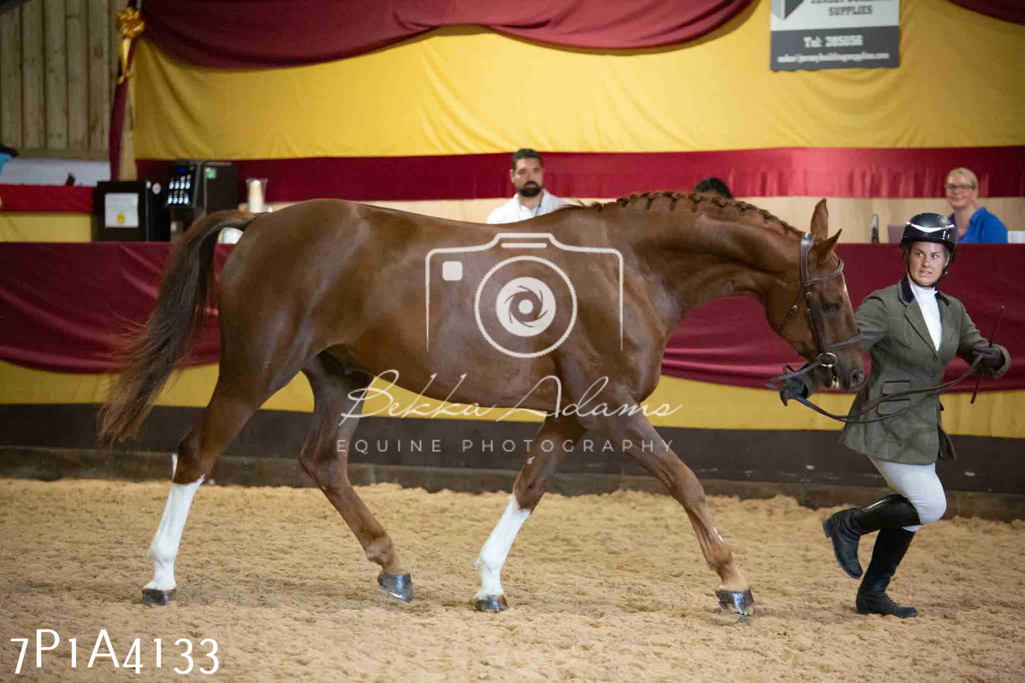 JHOYS 2023 - 9th September - Inhand Showing Pt 1