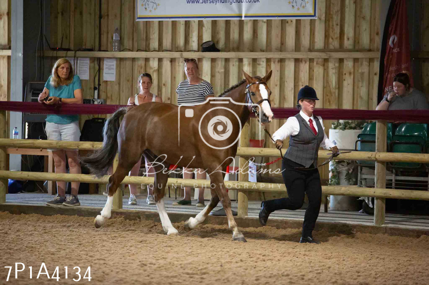 JHOYS 2023 - 9th September - Inhand Showing Pt 1
