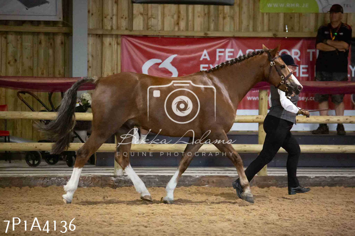 JHOYS 2023 - 9th September - Inhand Showing Pt 1