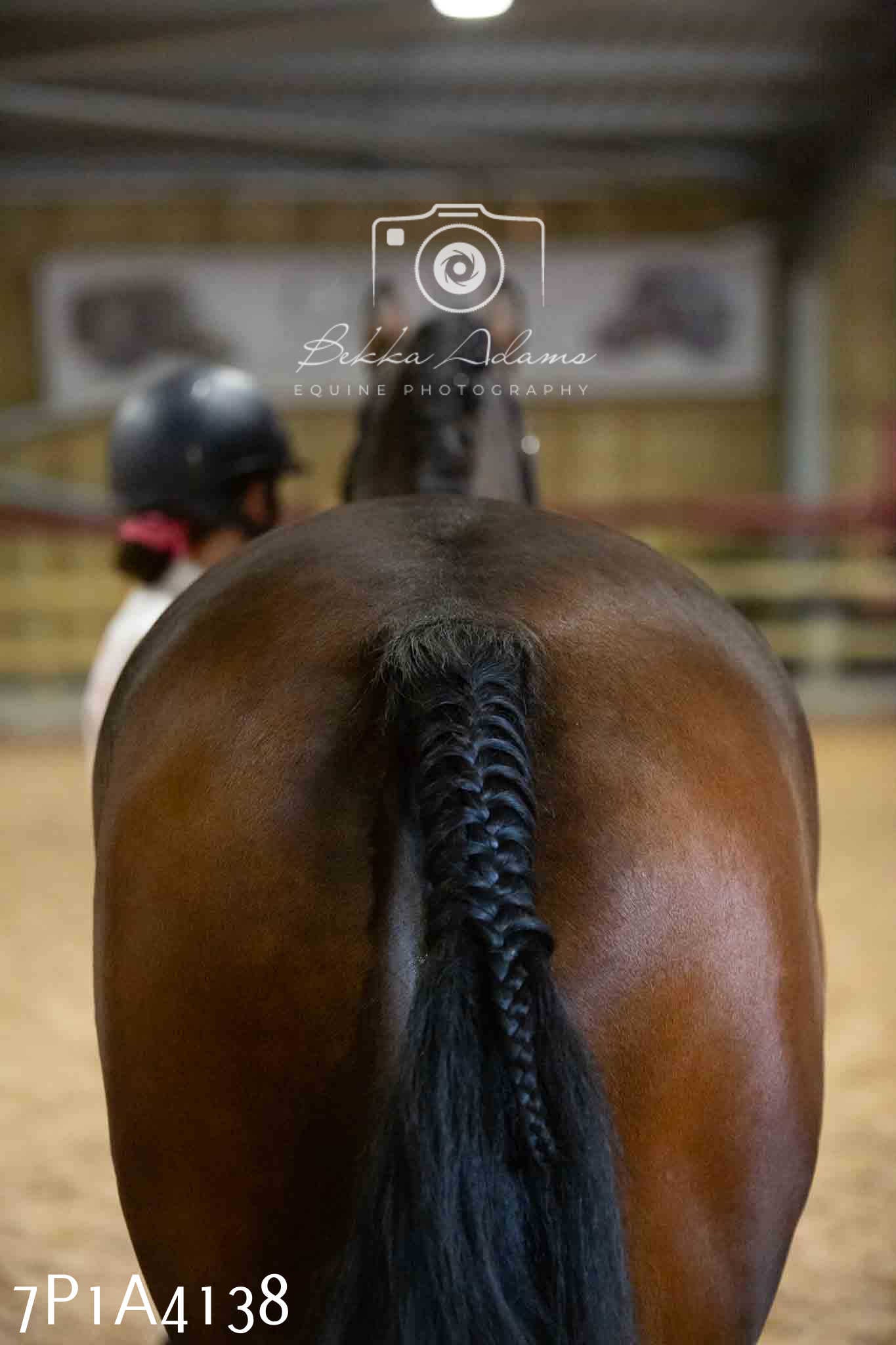 JHOYS 2023 - 9th September - Inhand Showing Pt 1