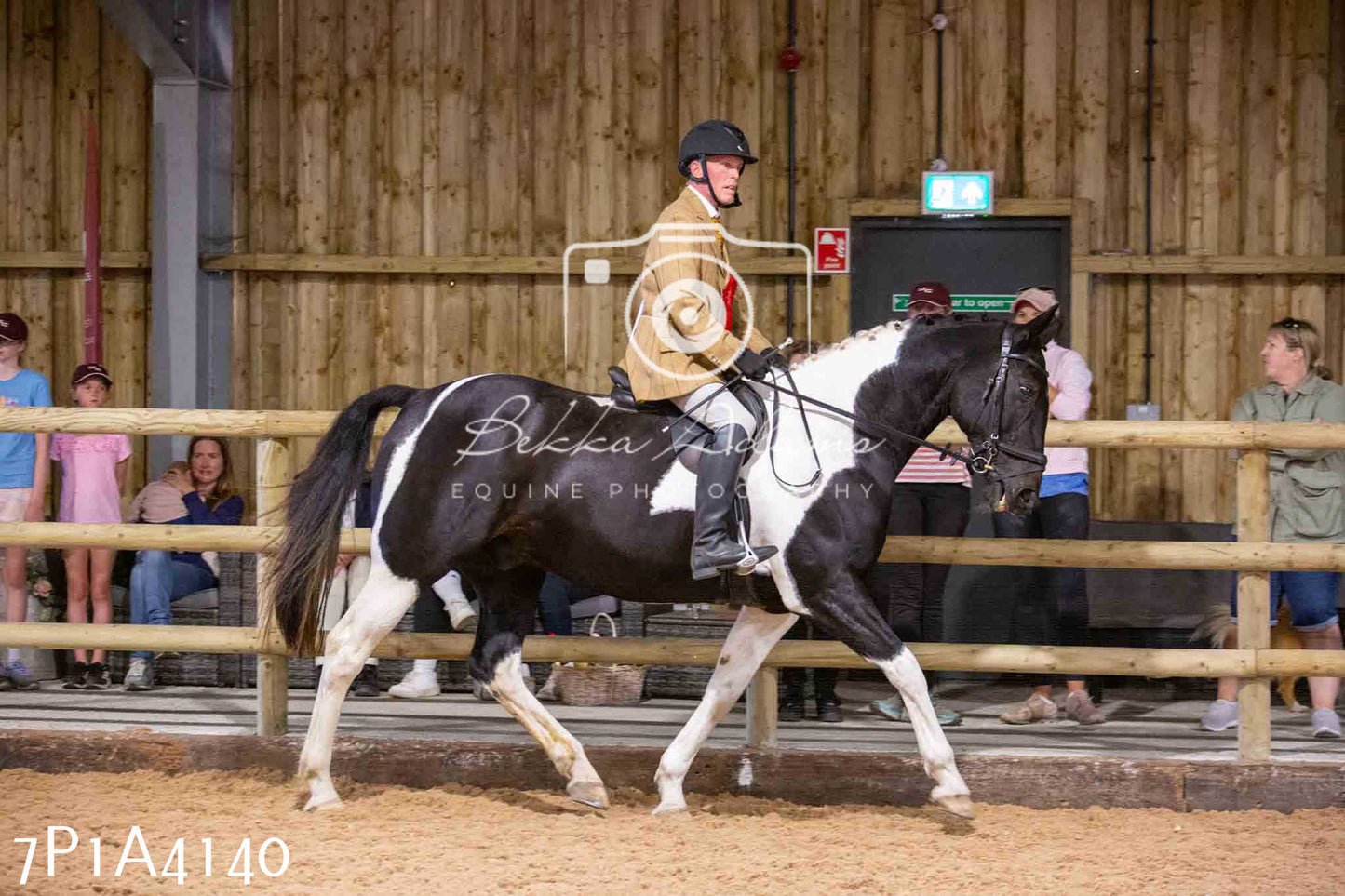 Home Farm Funshine Show 2024 - Ridden Showing 15th September pt2