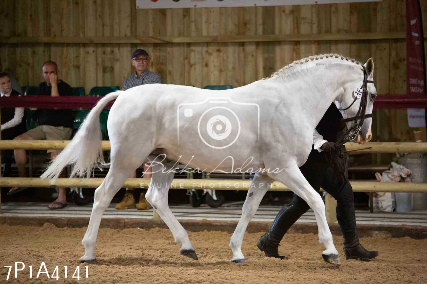 JHOYS 2023 - 9th September - Inhand Showing Pt 1