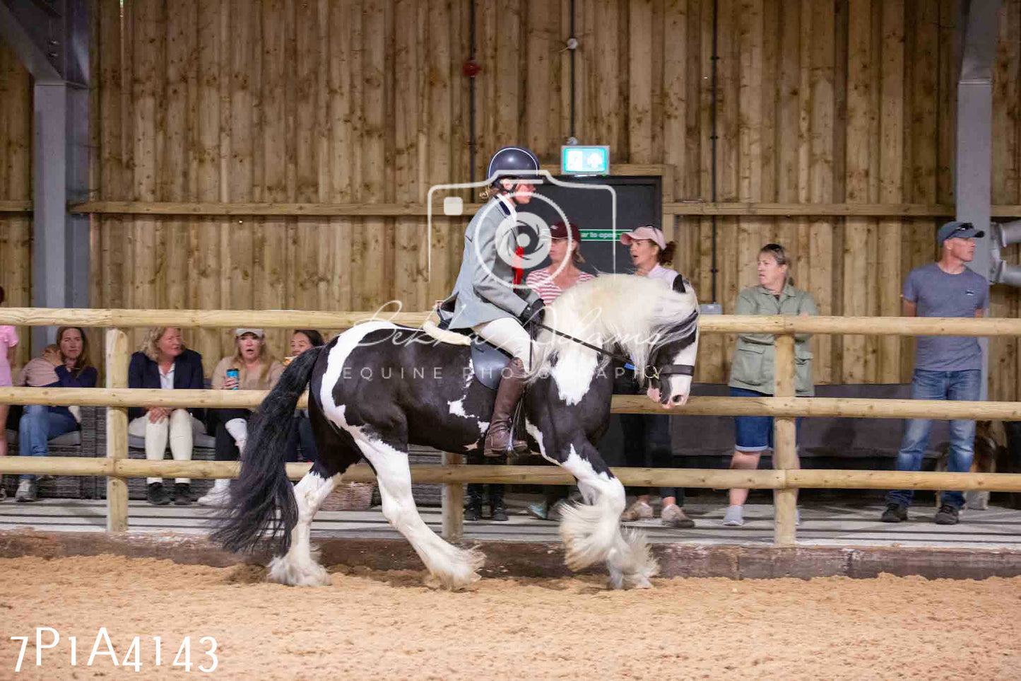 Home Farm Funshine Show 2024 - Ridden Showing 15th September pt2