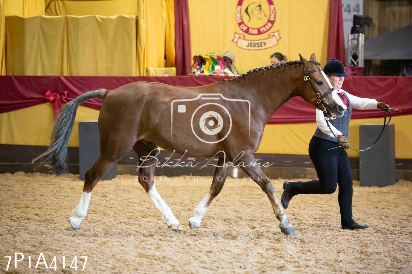 JHOYS 2023 - 9th September - Inhand Showing Pt 1