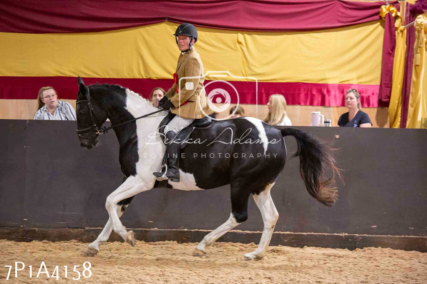 Home Farm Funshine Show 2024 - Ridden Showing 15th September pt2