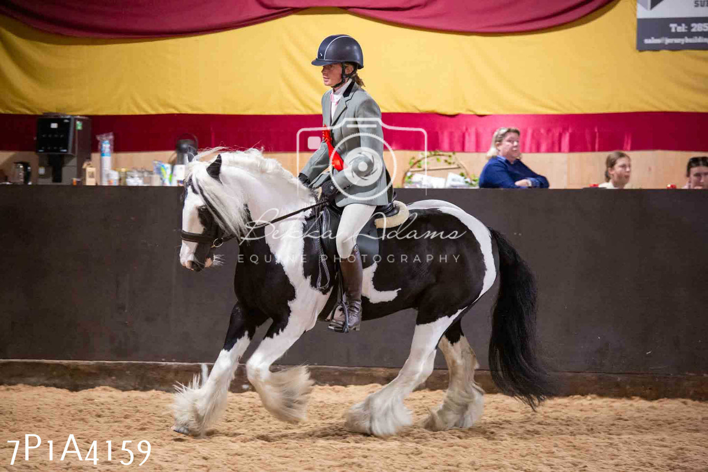 Home Farm Funshine Show 2024 - Ridden Showing 15th September pt2