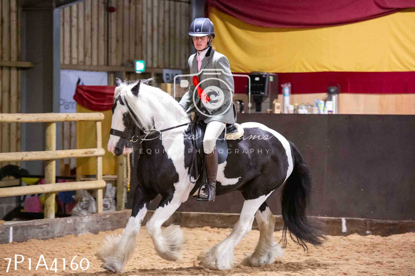 Home Farm Funshine Show 2024 - Ridden Showing 15th September pt2