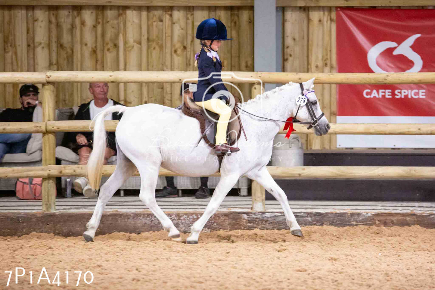 Home Farm Funshine Show 2024 - Ridden Showing 15th September pt2