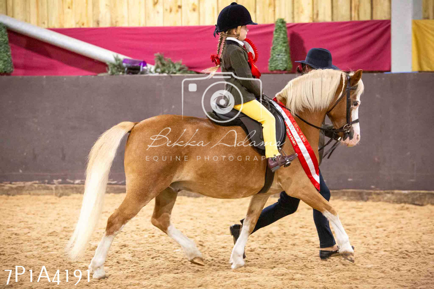 Home Farm Funshine Show 2024 - Ridden Showing 15th September pt2