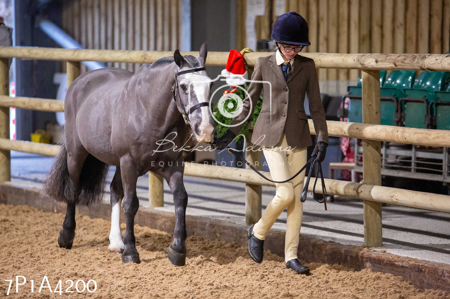 Home Farm Christmas Show 2024 - Inhand