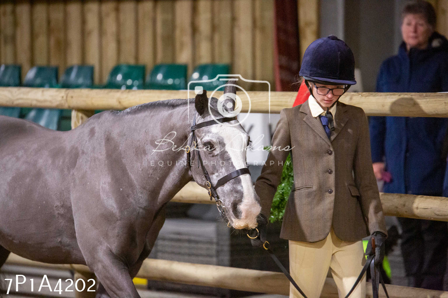 Home Farm Christmas Show 2024 - Inhand