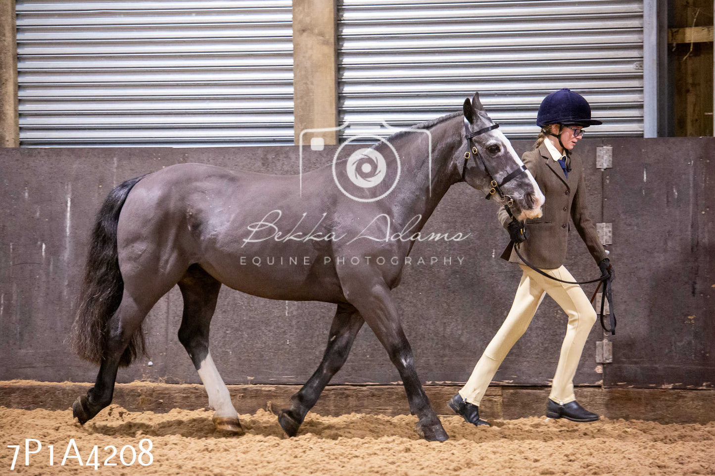 Home Farm Christmas Show 2024 - Inhand