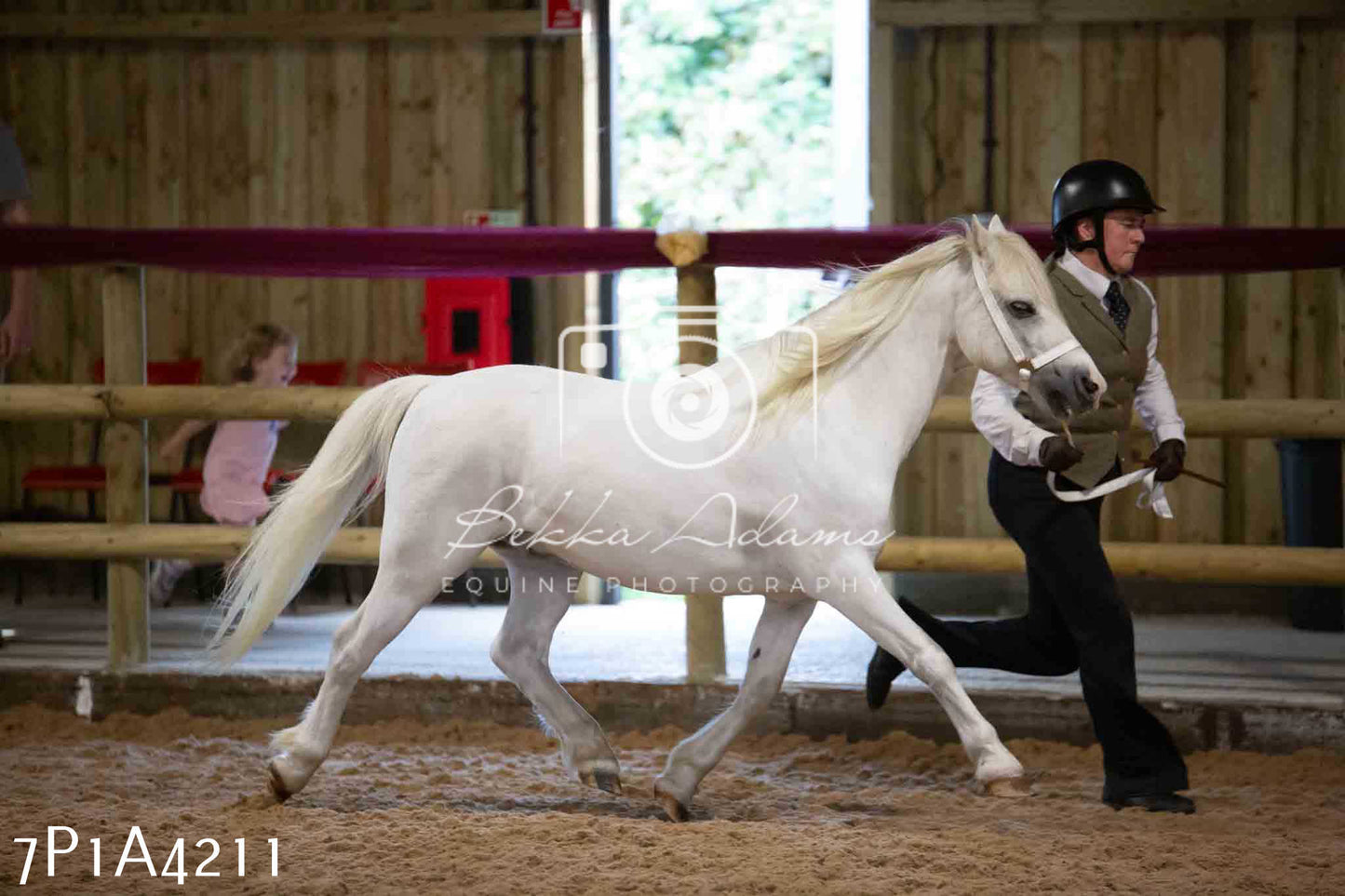 JHOYS 2023 - 9th September - Inhand Showing Pt2