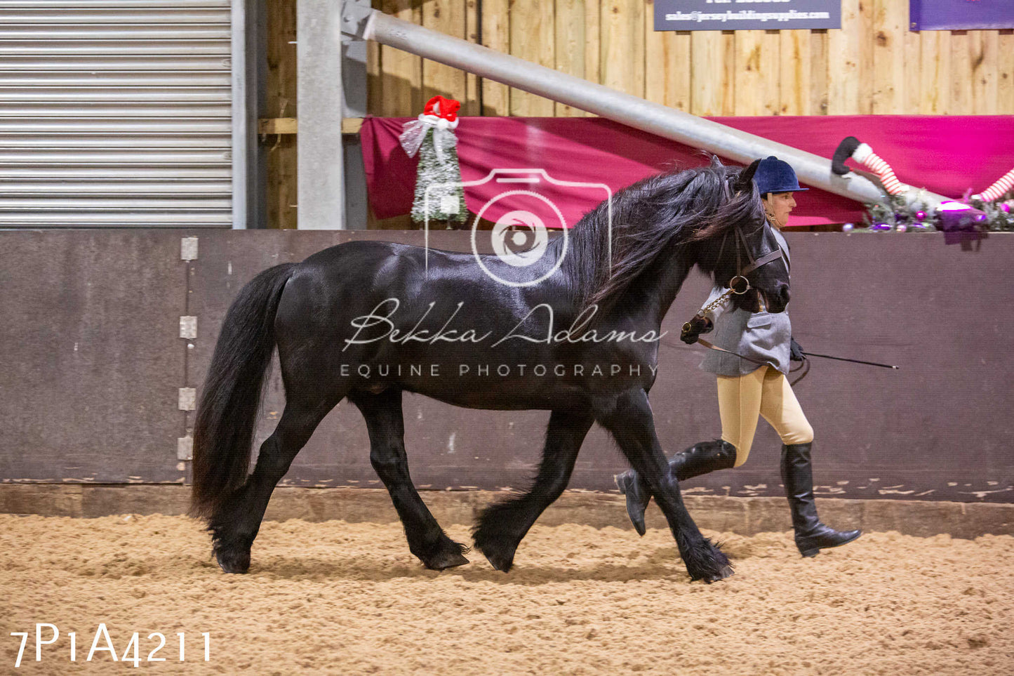 Home Farm Christmas Show 2024 - Inhand
