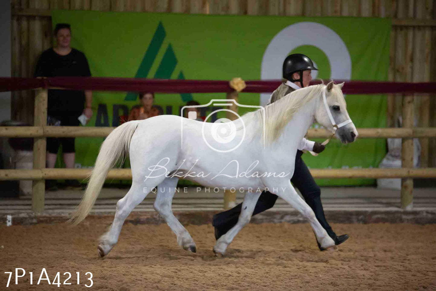 JHOYS 2023 - 9th September - Inhand Showing Pt2