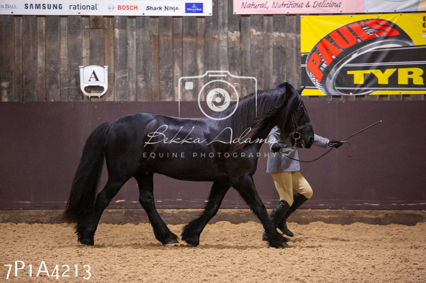 Home Farm Christmas Show 2024 - Inhand