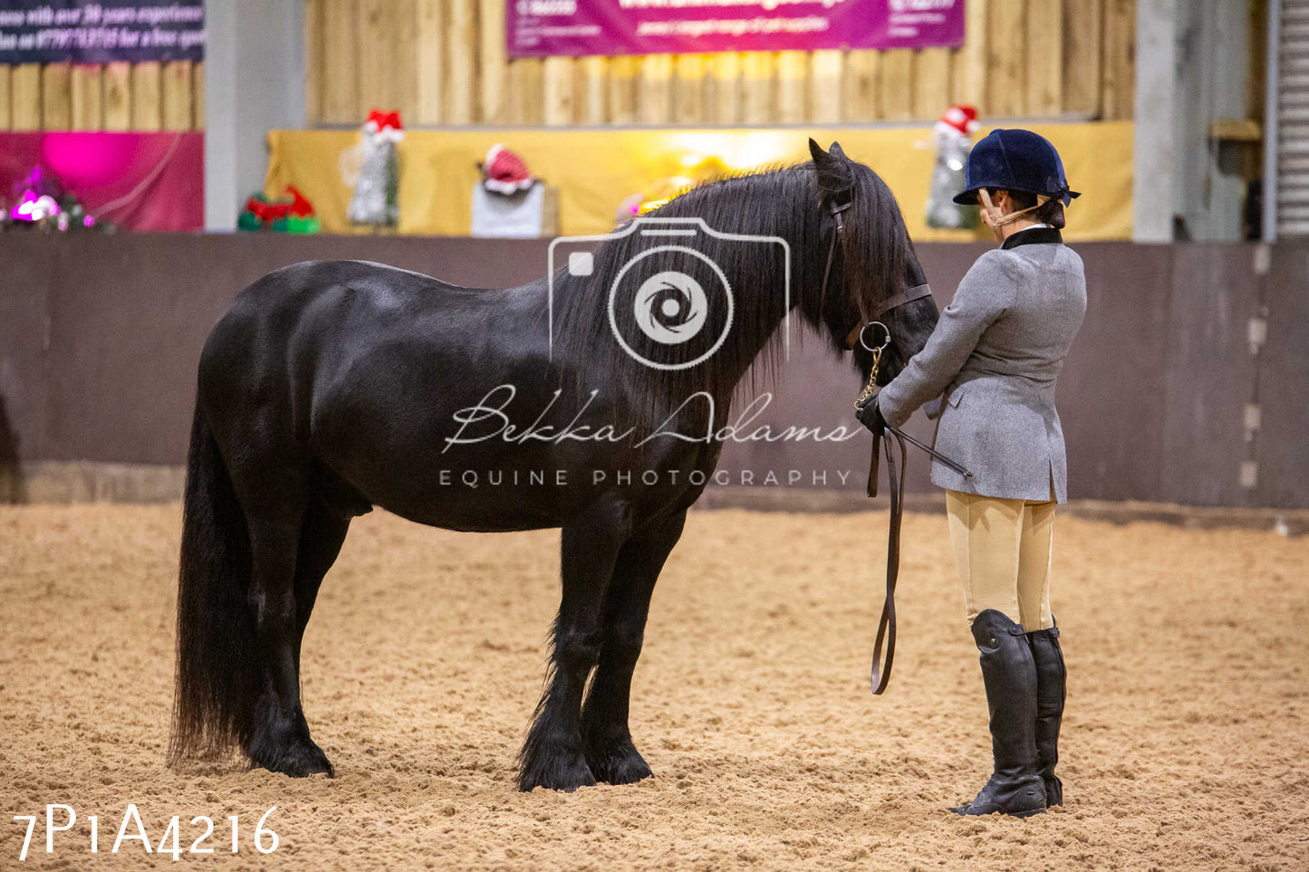 Home Farm Christmas Show 2024 - Inhand