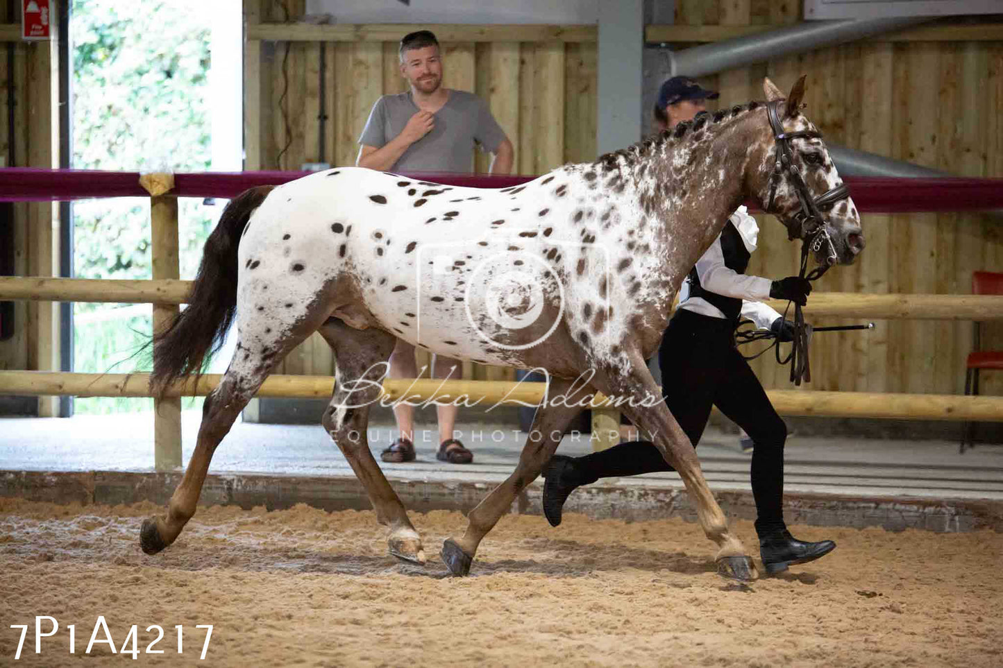 JHOYS 2023 - 9th September - Inhand Showing Pt2