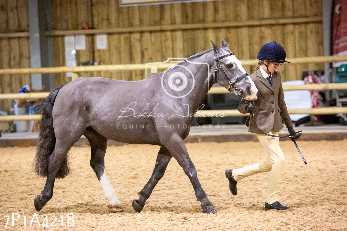 Home Farm Christmas Show 2024 - Inhand