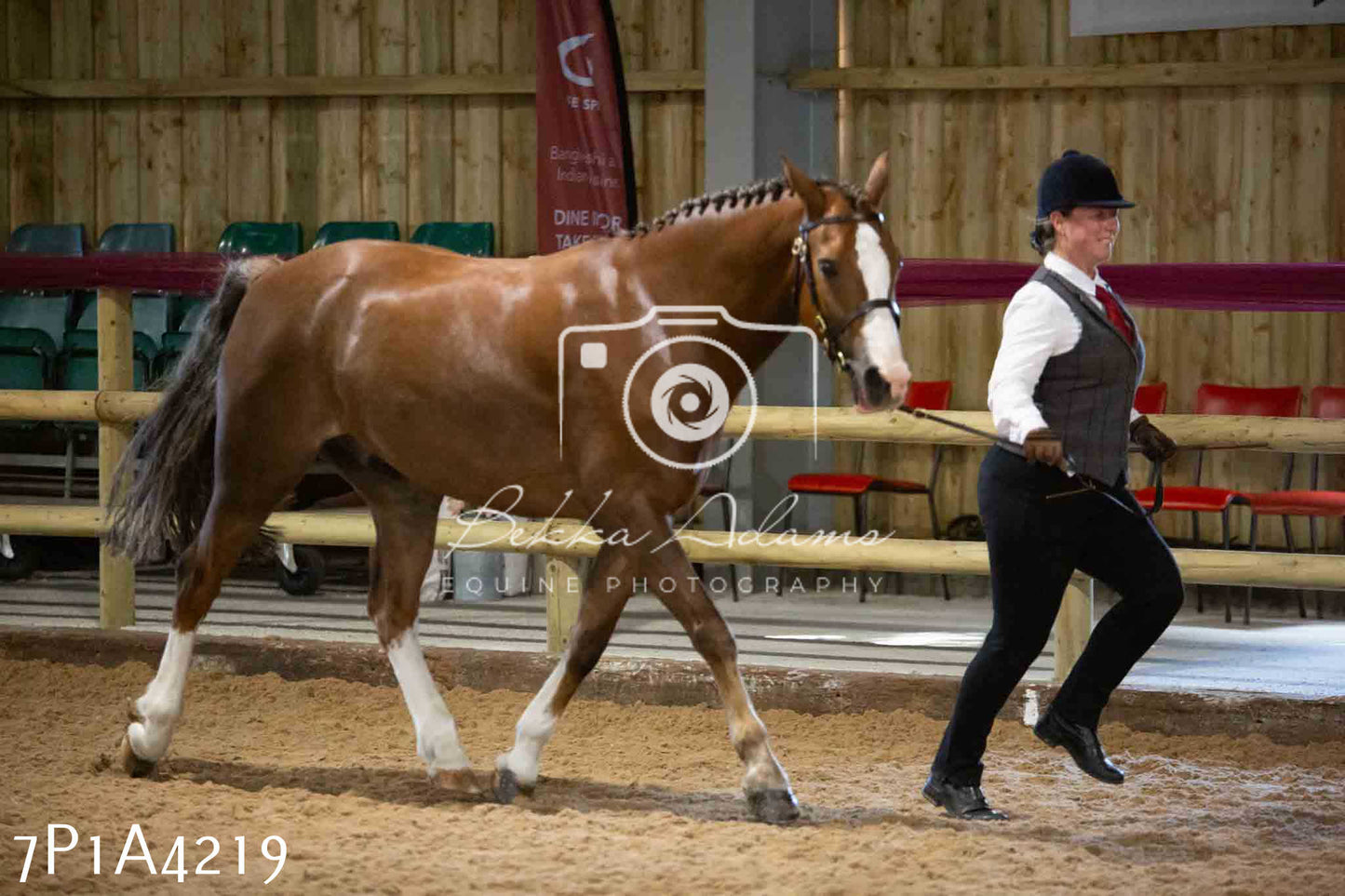JHOYS 2023 - 9th September - Inhand Showing Pt2