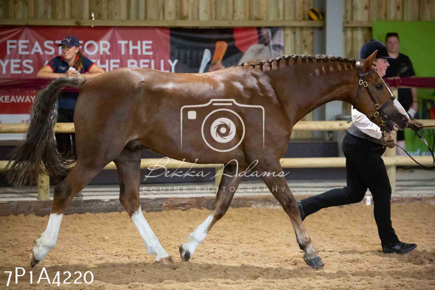 JHOYS 2023 - 9th September - Inhand Showing Pt2