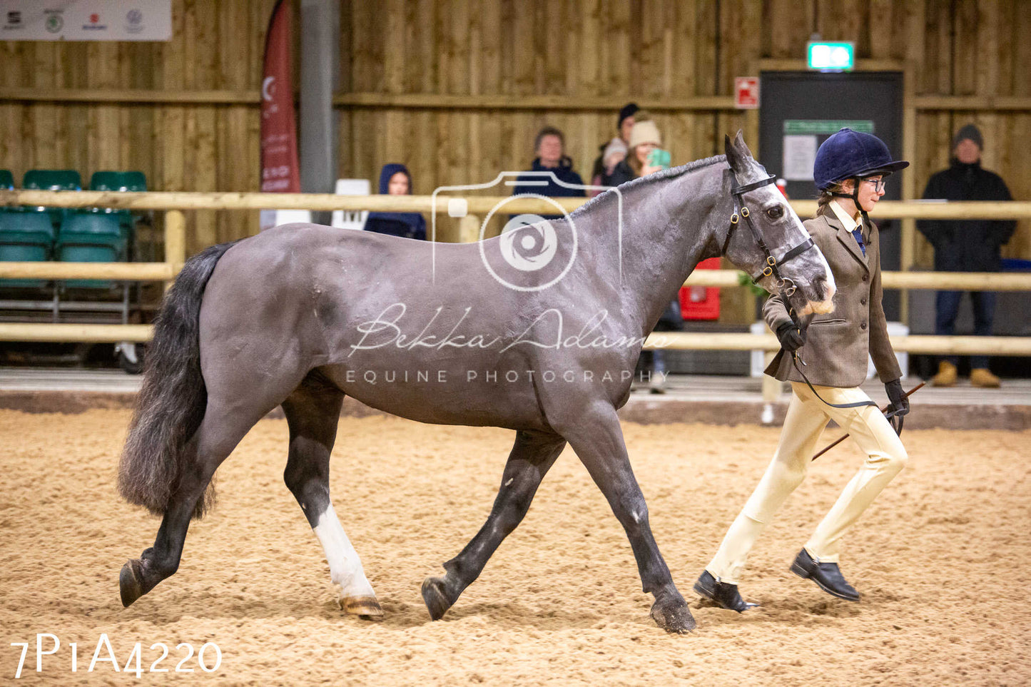 Home Farm Christmas Show 2024 - Inhand