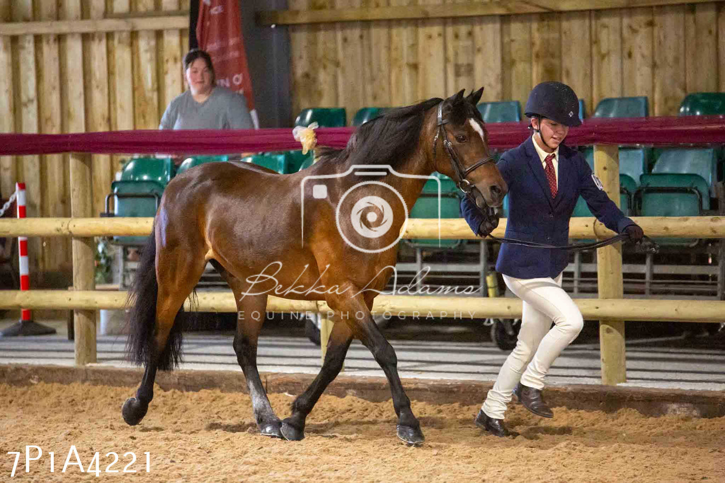 JHOYS 2023 - 9th September - Inhand Showing Pt2