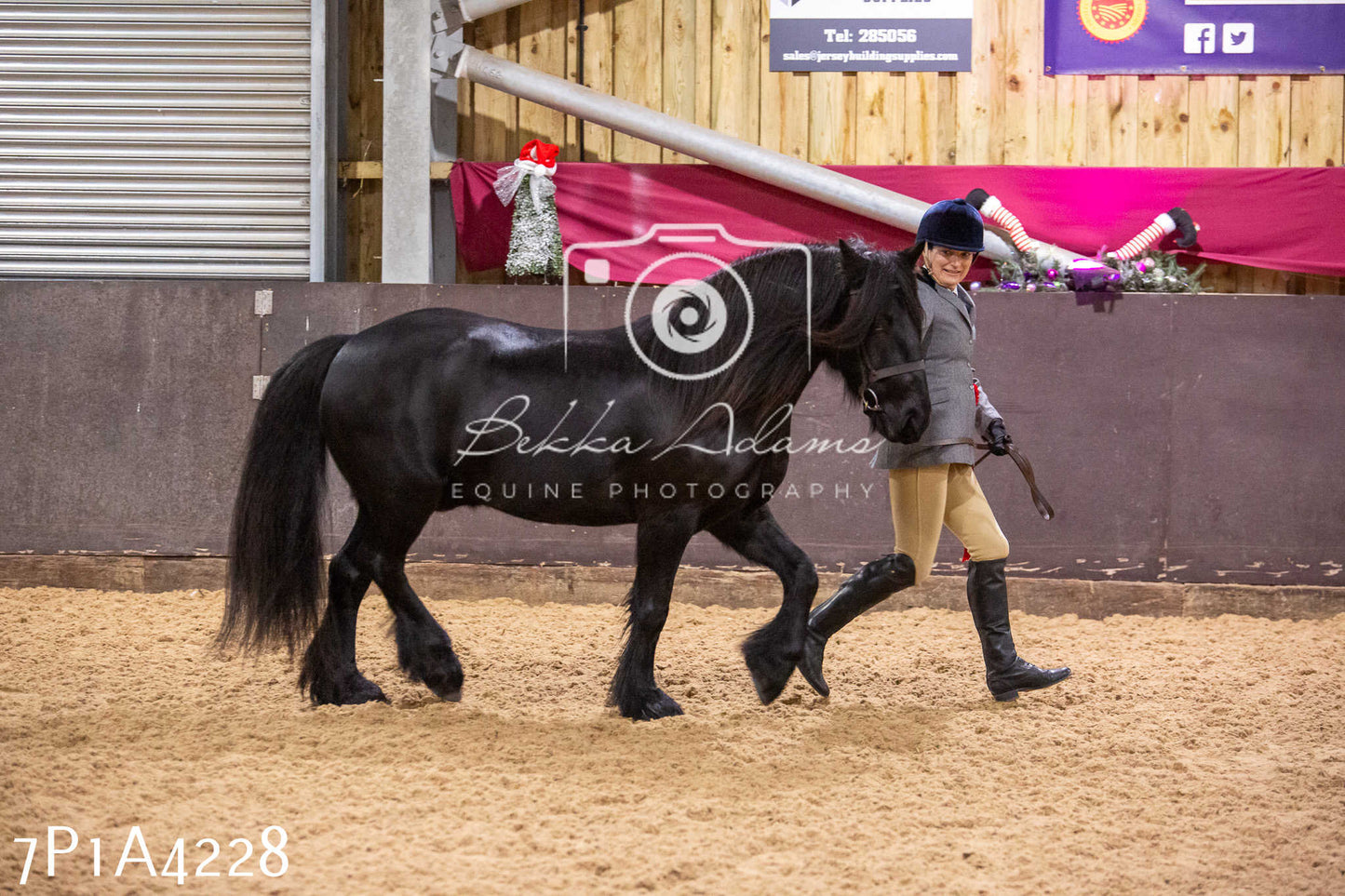 Home Farm Christmas Show 2024 - Inhand