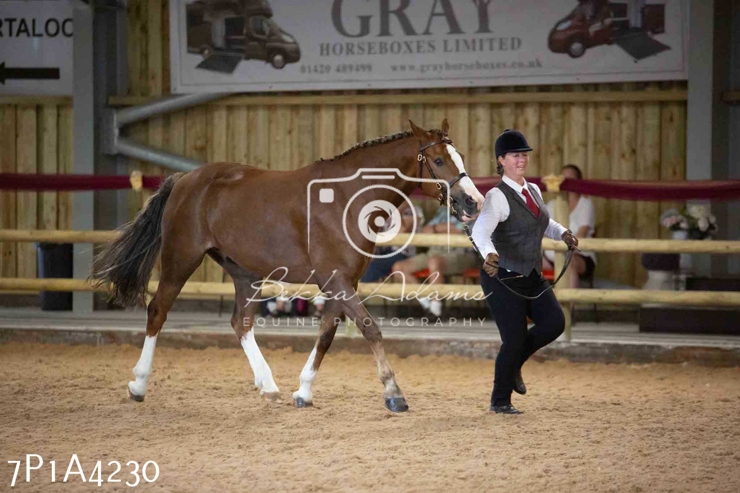 JHOYS 2023 - 9th September - Inhand Showing Pt2